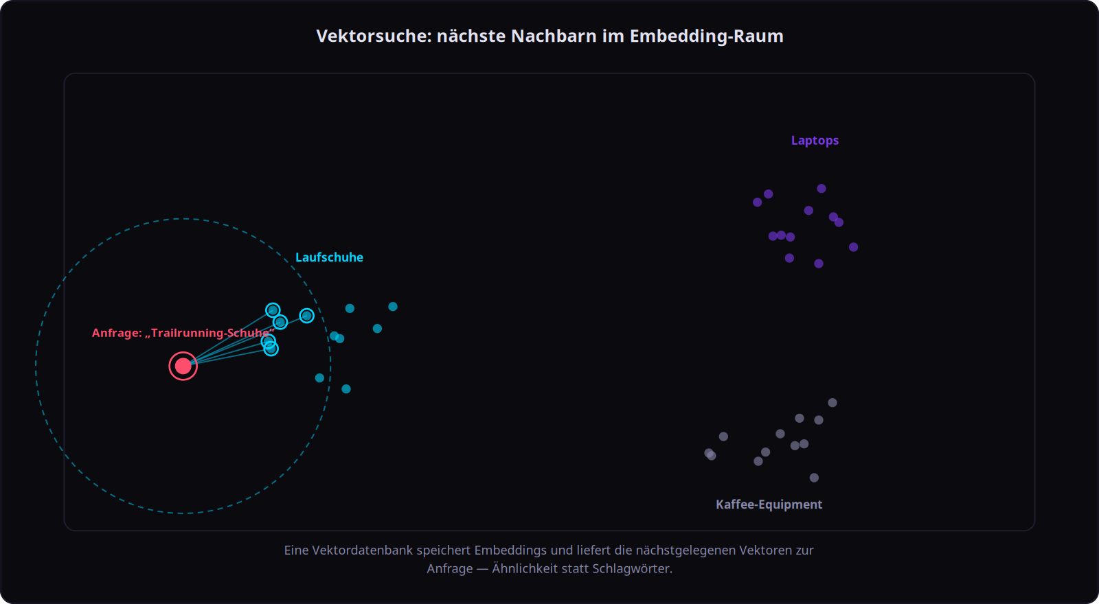 Vektorsuche: die nächsten Nachbarn im Embedding-Raum