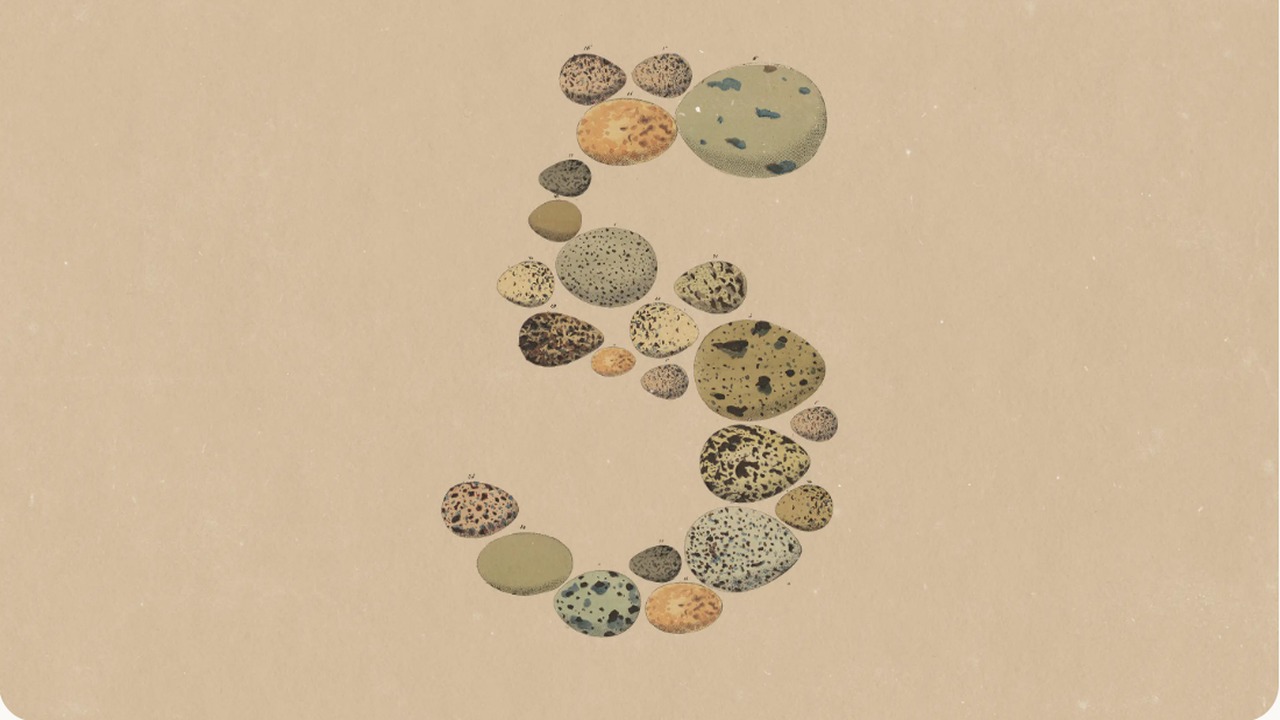 The editorial illustration from Anthropic's own Opus 5 announcement: speckled bird eggs of varying sizes arranged into the shape of a 5